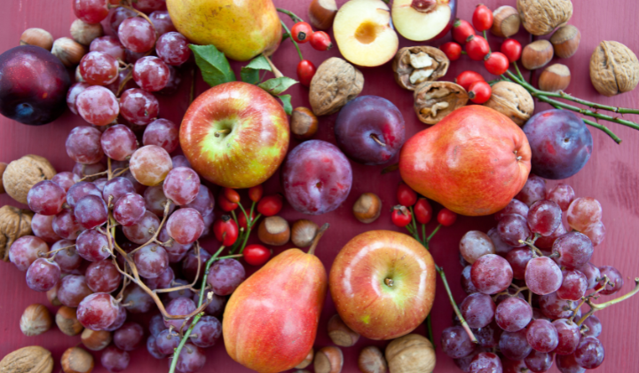 fruits Raisins, pommes, poires, prunes, cynorrhodons, noisettes, noix d'arbres vus du ciel