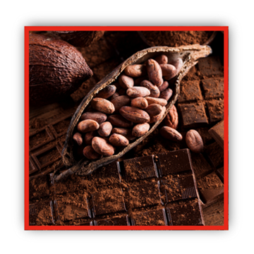Cacao et chocolat Fruit du cacao coupé en deux et rempli de fèves de cacao grillées. Le tout est saupoudré de chocolat en poudre.